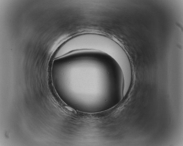 X0000103130199200809121739