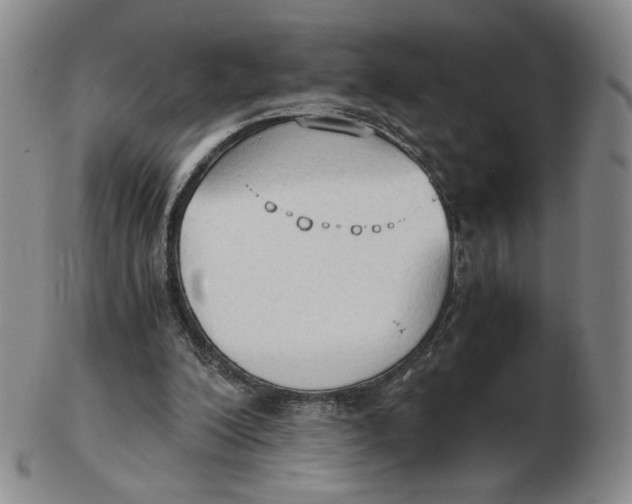X0000103130200200809121739