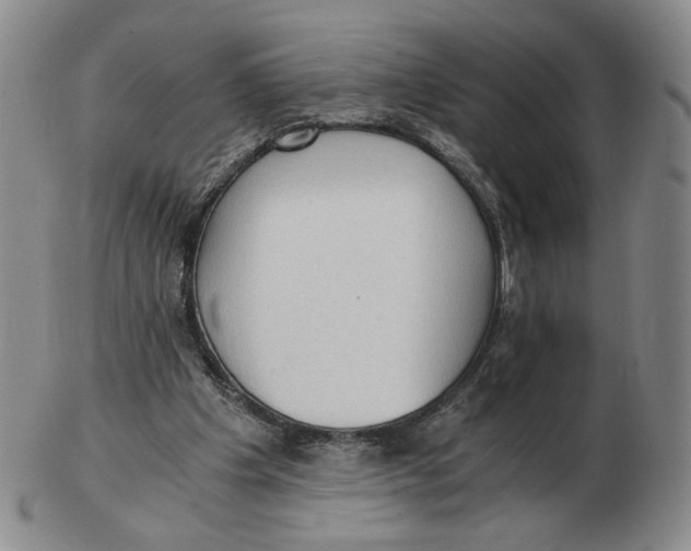 X0000103130201200809121739