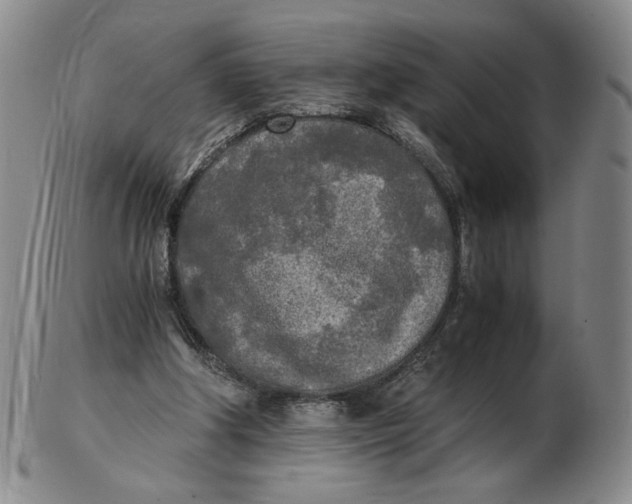 X0000103130202200809121739