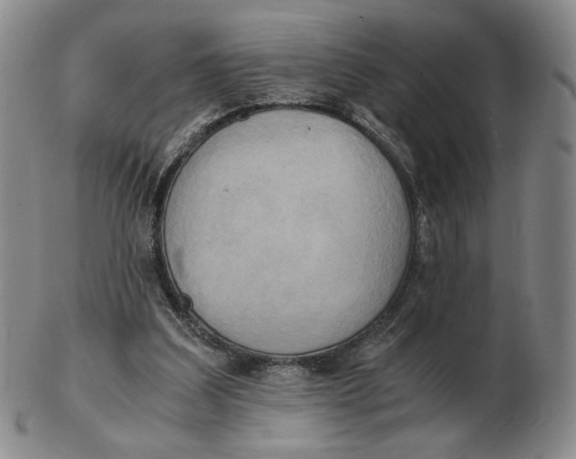 X0000103130203200809121739