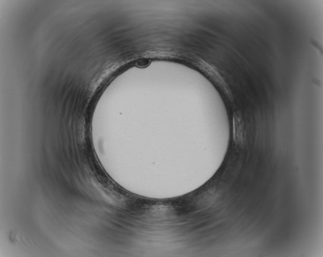 X0000103130204200809121739