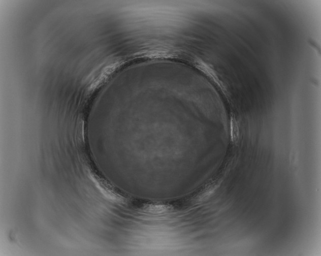 X0000103130205200809121739
