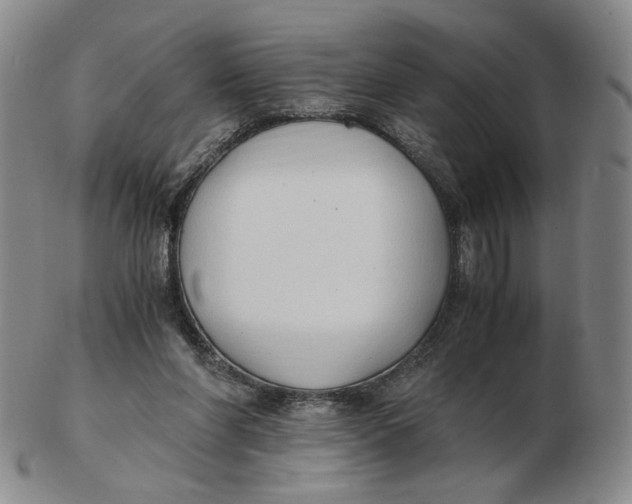 X0000103130206200809121739