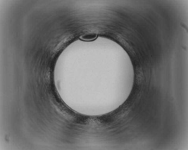 X0000103130207200809121739