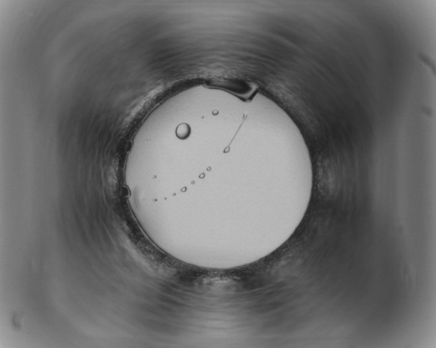 X0000103130208200809121739