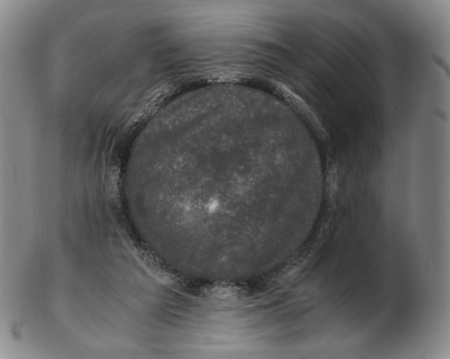 X0000103130209200809121739
