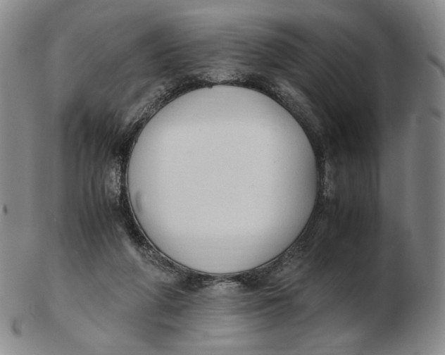 X0000103130210200809121739