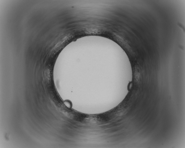 X0000103130211200809121739