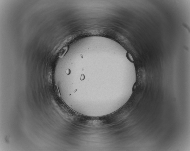 X0000103130212200809121739