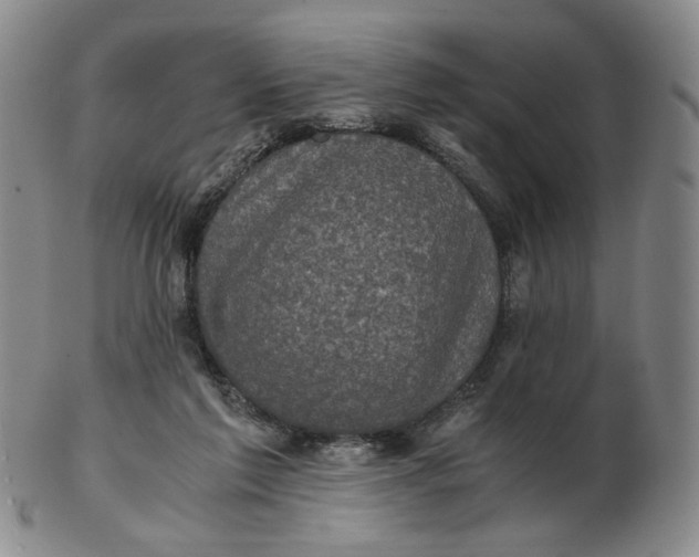 X0000103130213200809121739