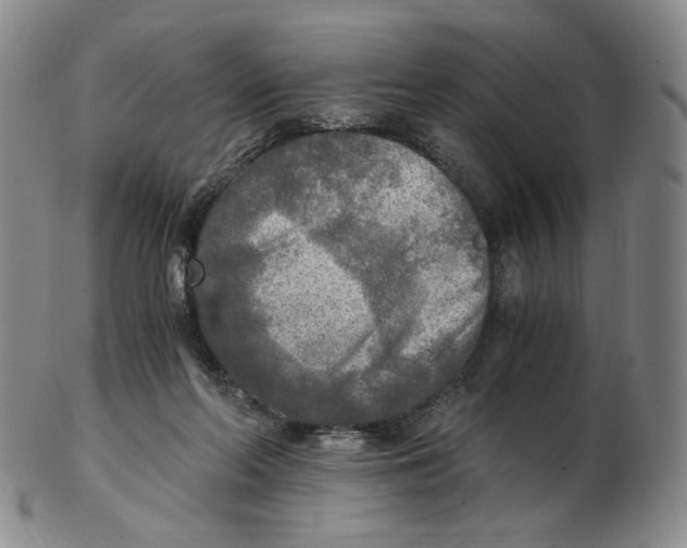 X0000103130214200809121739