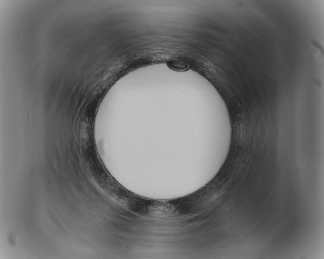 X0000103130215200809121739