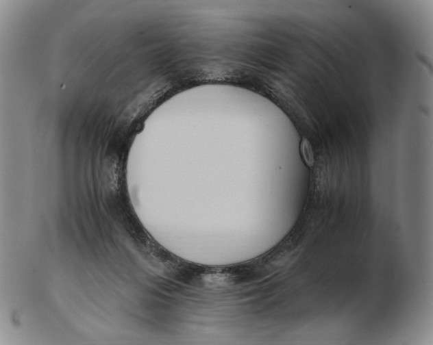 X0000103130216200809121739