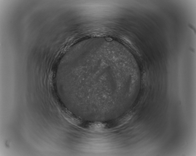 X0000103130217200809121739