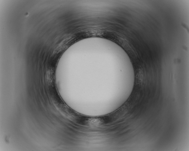 X0000103130218200809121739