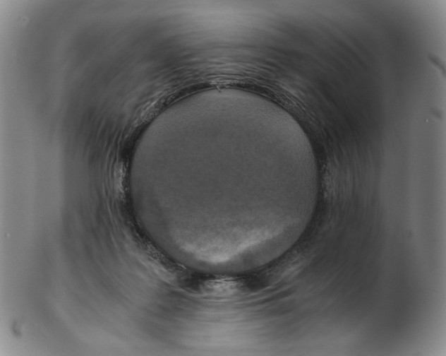 X0000103130219200809121739