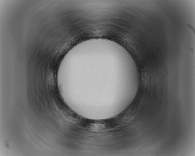 X0000103130220200809121739