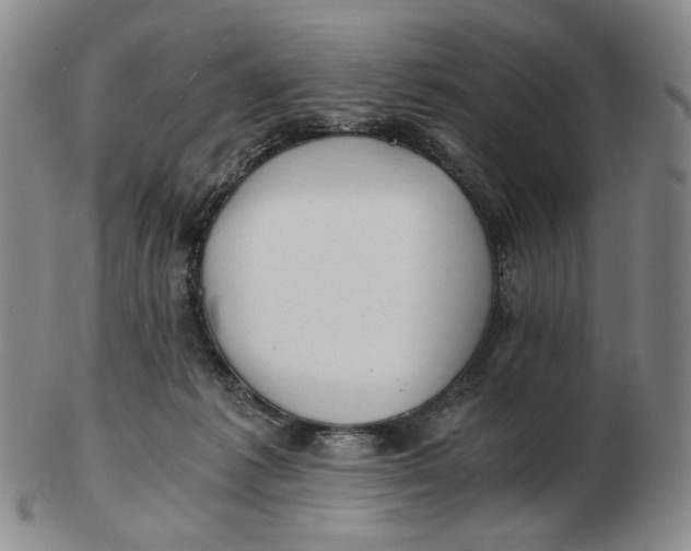 X0000103130221200809121739
