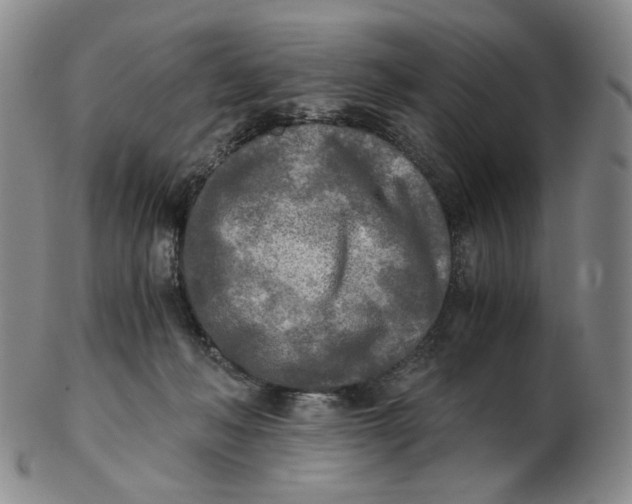 X0000103130222200809121739