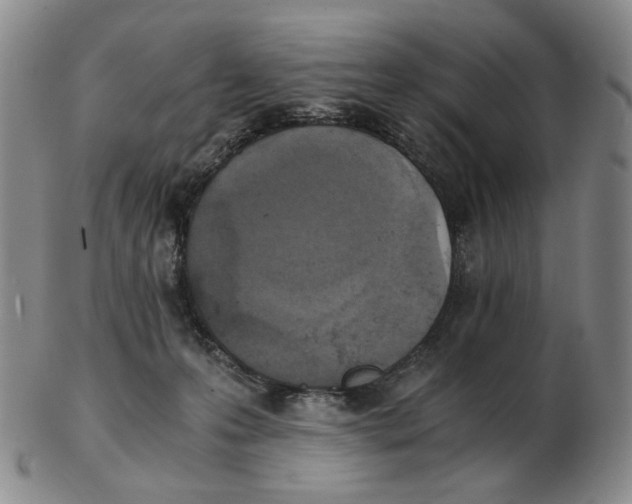X0000103130223200809121739