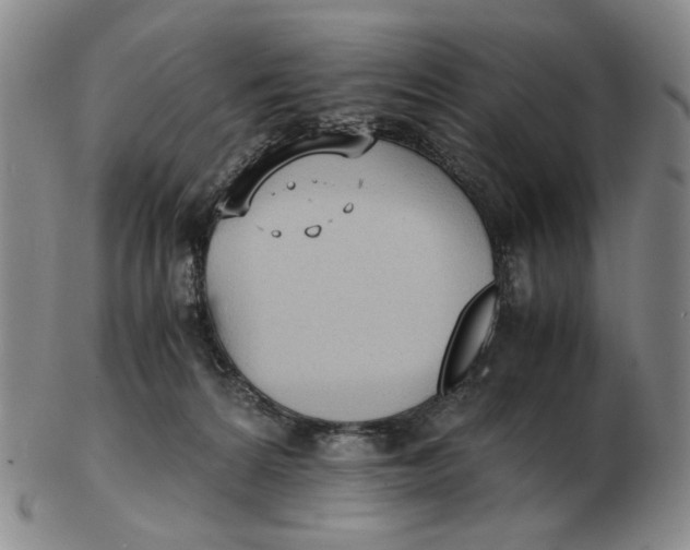 X0000103130224200809121739