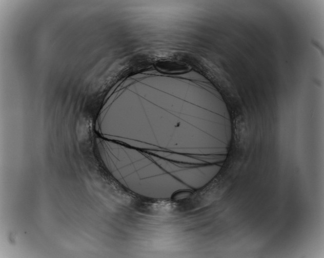 X0000103130225200809121739