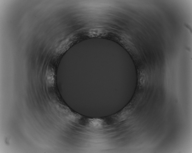 X0000103130226200809121739