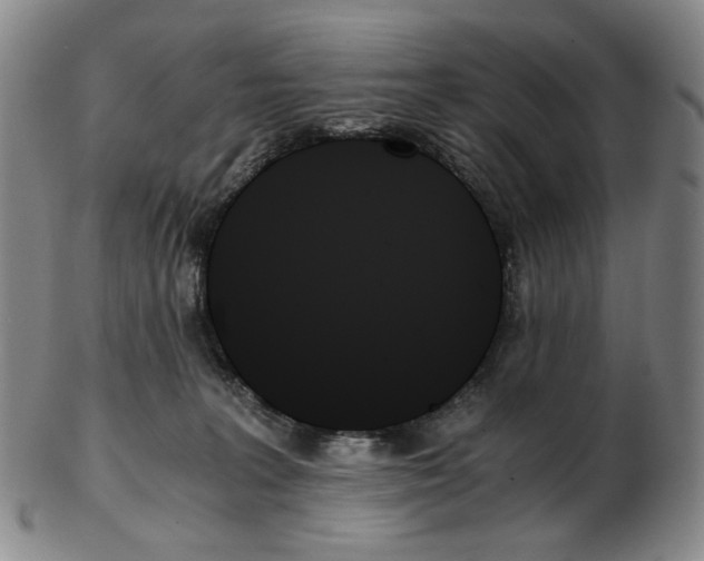 X0000103130227200809121739