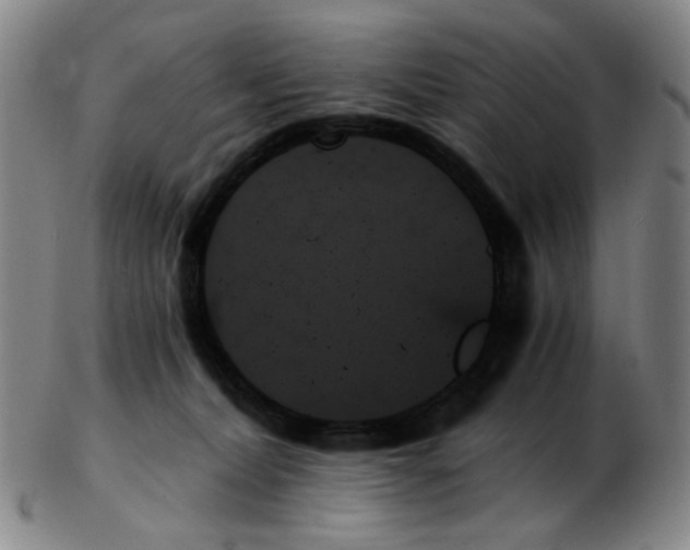 X0000103130228200809121739