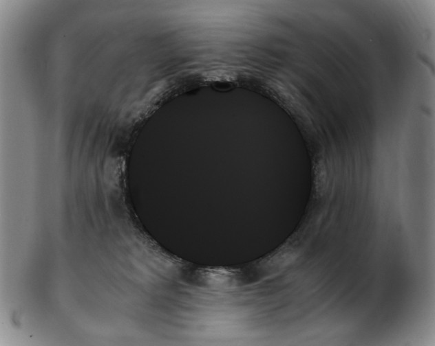 X0000103130229200809121739