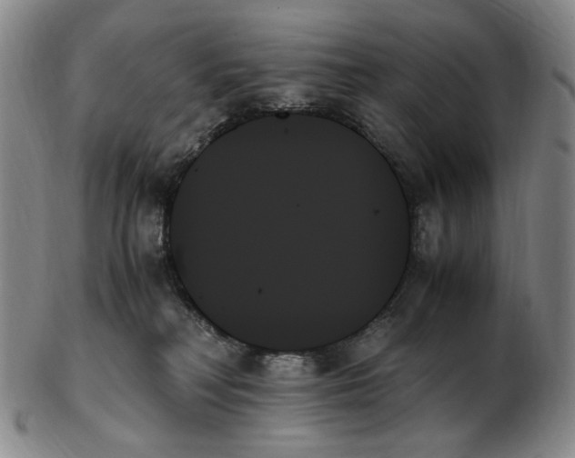 X0000103130230200809121739