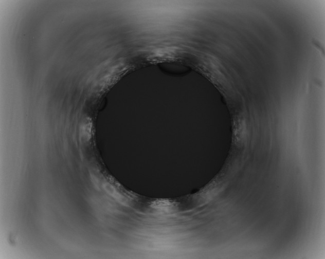 X0000103130231200809121739
