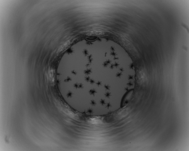 X0000103130232200809121739
