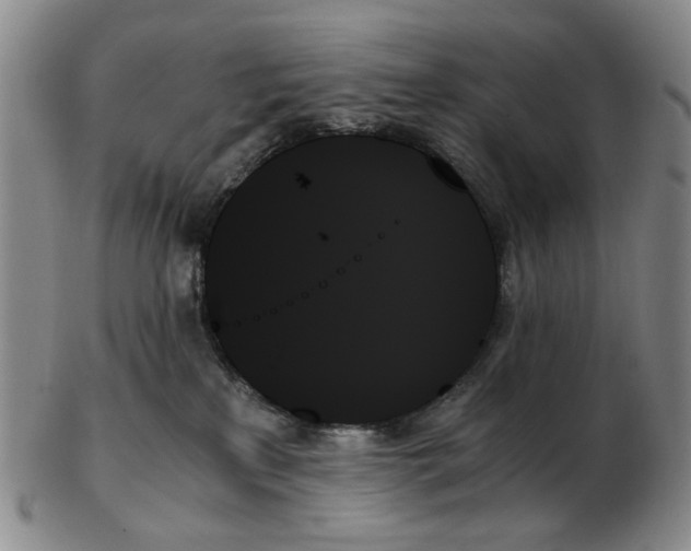 X0000103130233200809121739