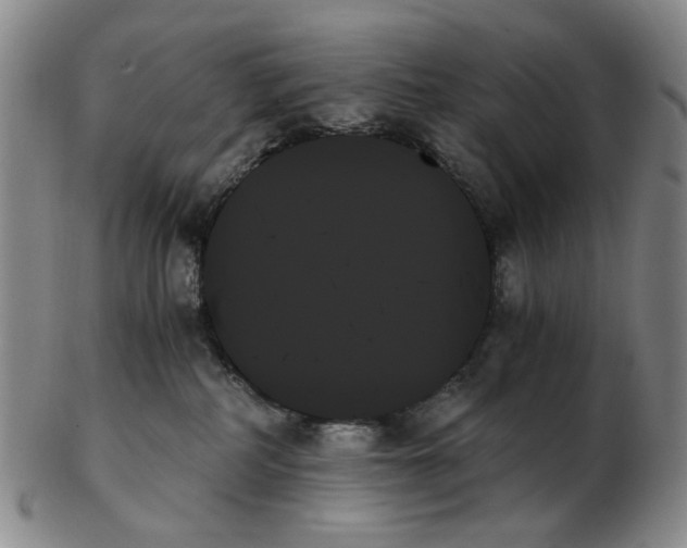 X0000103130234200809121739