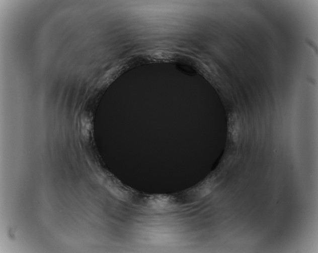 X0000103130235200809121739