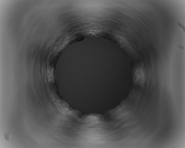 X0000103130236200809121739