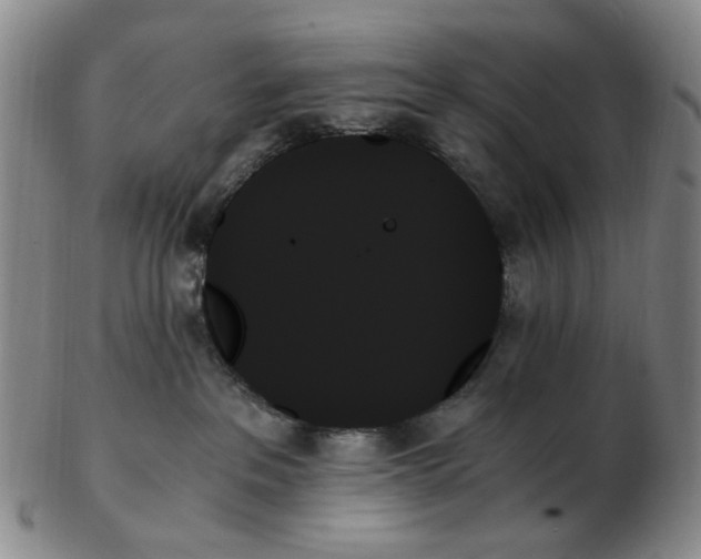 X0000103130237200809121739