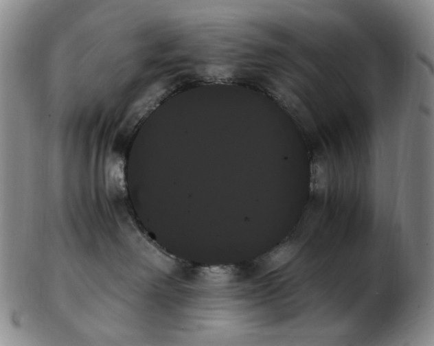 X0000103130238200809121738