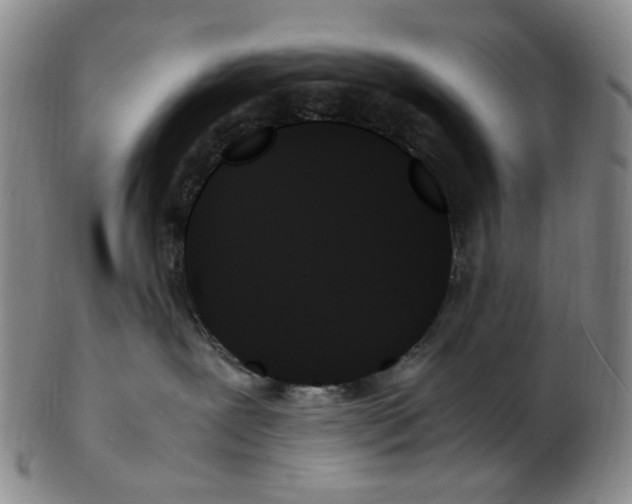 X0000103130239200809121738
