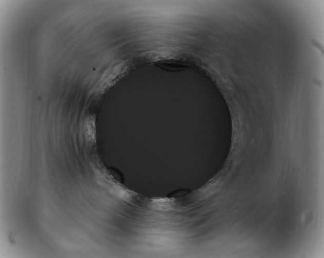 X0000103130240200809121738