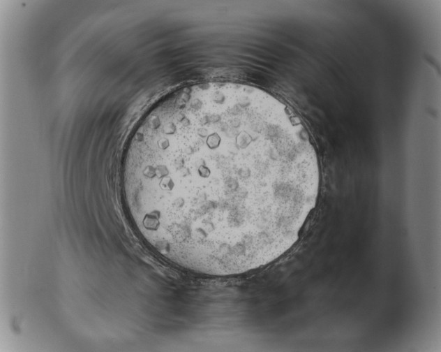 X0000103130241200809121738