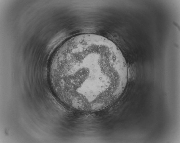 X0000103130243200809121738
