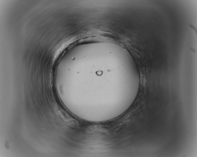 X0000103130244200809121738