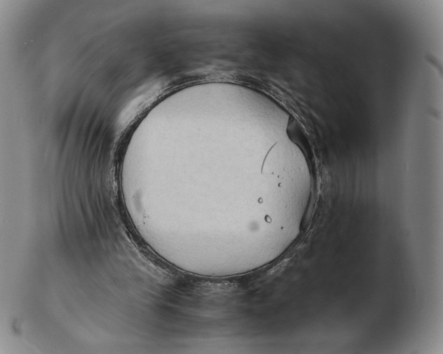 X0000103130245200809121738