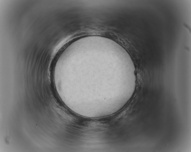 X0000103130246200809121738