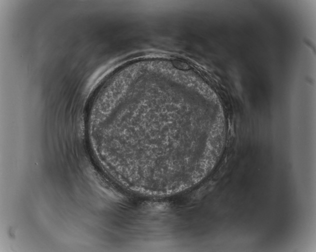 X0000103130247200809121738