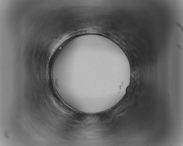 X0000103130248200809121738