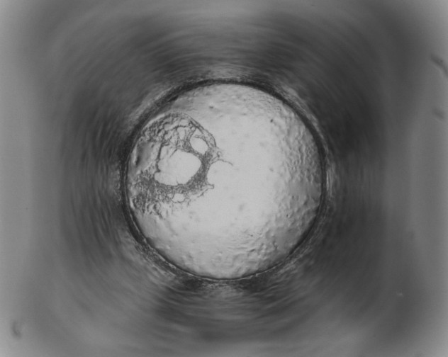 X0000103130249200809121738